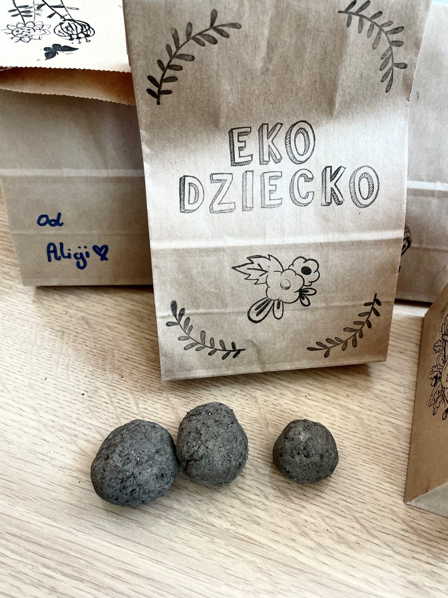 eko2
